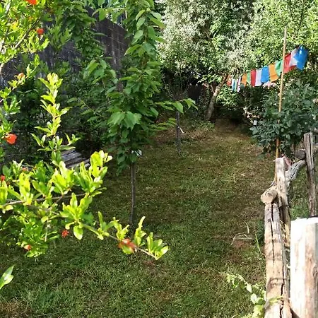 Poggio Alto Sugano Apartment San Quirico (Avigliano)